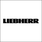 Unternehmensberatung Liebherr